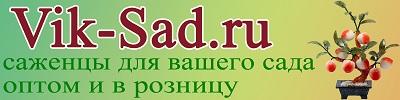 Саженцы Крым Рф Интернет Магазин Отзывы Саженцы Крым Рф Интернет Магазин Отзывы